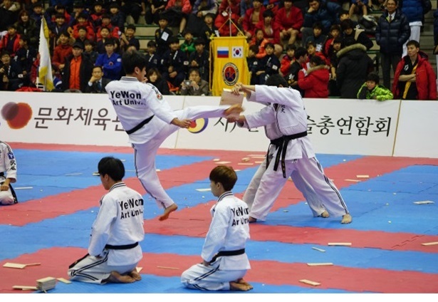 2017년 충주에서 열린 11회 전국무예대제전에서 합기도 출전팀이 음악에 맞춰 단체 연무경기를 펼치고 있다. 한국무술총연합회 제공