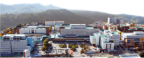 충남대병원은 2일 발열, 근육통 등 중동호흡기증후군 의심 증세를 보이는 여성을 음압병실에 격리해 치료하고 있다. 충남대병원 제공
