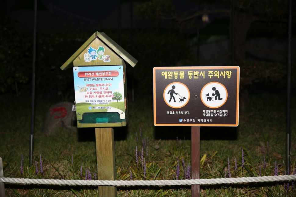 부산 광안리해수욕장에 비치된 반려견 배변봉투. 원칙적으로 바닷물 입수가 가능한 해수욕장이다.  수영구 제공