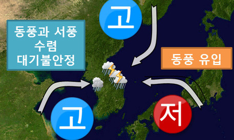 “유례없는 폭우 패턴”…폭염 속 동해안 280㎜ 물폭탄, 왜?