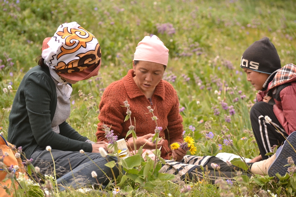 파미르 고원의 초원에서 꽃을 들고 얘기하고 있는 키르기스 모녀. 공원국 제공