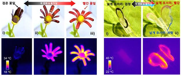 연구팀이 개발한 개화하며 색이 발현되는 생체모방 꽃과 날갯짓을 하며 색이 변화하는 생체모방 나비 로봇. 서울대 제공