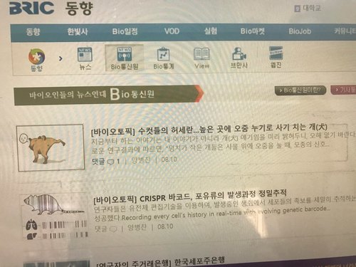 양병찬씨가 새벽에 번역한 최신 과학 뉴스를 볼 수 있는 브릭(포항공대 생물학연구정보센터) 사이트. 인터뷰를 한 10일에 번역한 기사 두 꼭지가 올라와 있다.