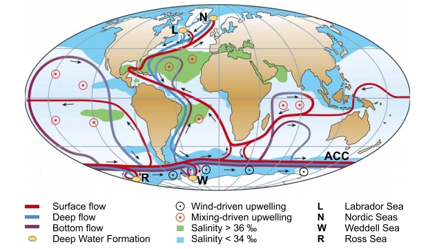 세계 해류 흐름도. 빨간색이 표층수, 파란색이 심층수 흐름을 나타낸다. https://agupubs.onlinelibrary.wiley.com/doi/pdf/10.1029/2004RG000166