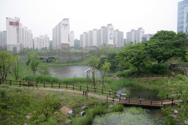 원흥이 두꺼비생태공원.  김정수 선임기자