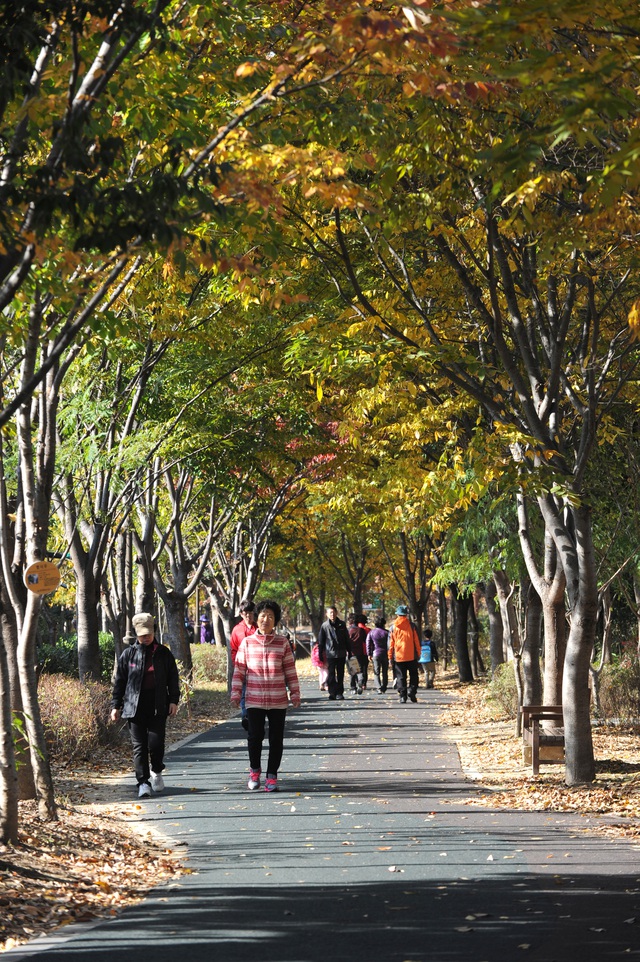 푸른길공원.   광주광역시청 제공