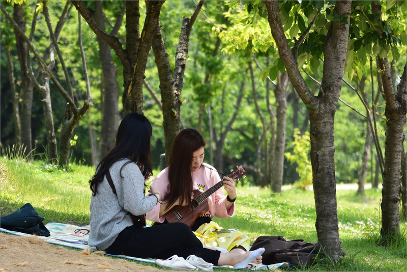 북서울 꿈의숲 공원의 봄 풍경. 사진 설인선 제공