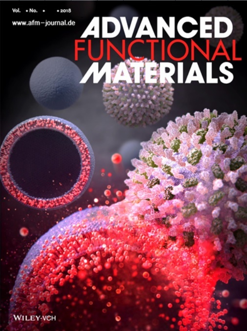 본 연구결과가 표지 논문으로 실린 <어드밴스드 펑셔널 머티리얼즈> 저널 사진. 한국연구재단 제공