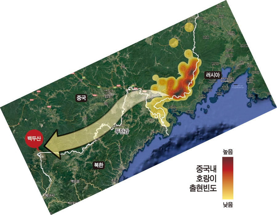 두만강 생태통로 프로젝트 지도. 현재 러시아 연해주 지역에서 성공적으로 개체 수를 늘린 호랑이가 영역을 넓혀 두만강 넘어 백두산을 통해 한반도에 돌아오도록 생태통로를 복원하는 프로젝트다. 범보전기금 제공