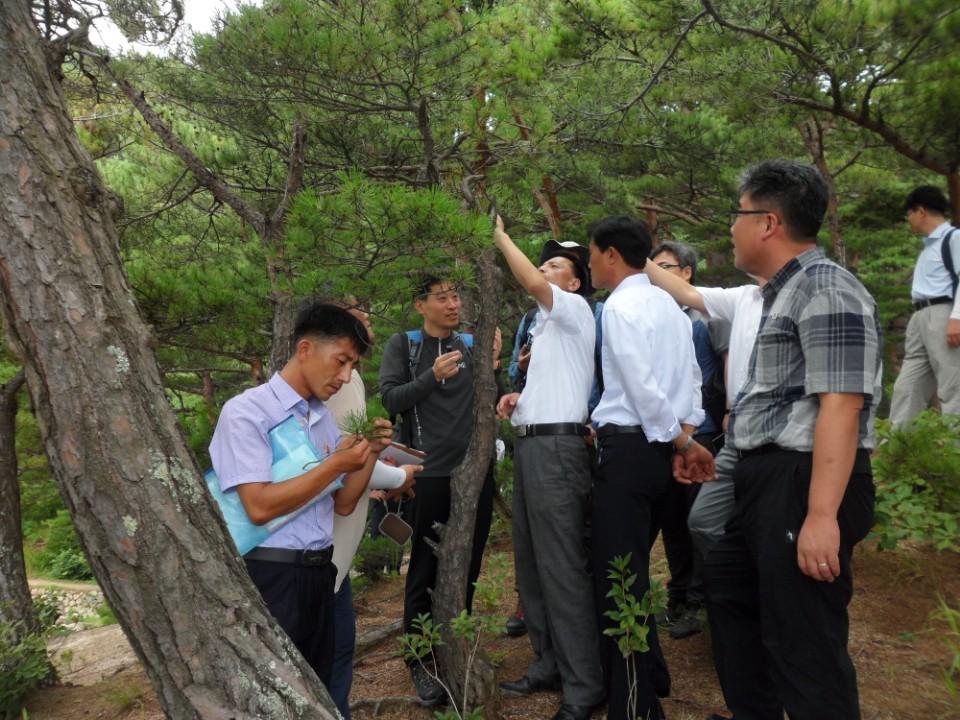 지난 8일 남과 북 산림 관계자들이 산림 병해충 공동방제에 앞서 금강산 삼일포 지구에서 소나무 병해충 피해 정도를 현장 조사하며 의견을 나누는 모습. 통일부 제공.