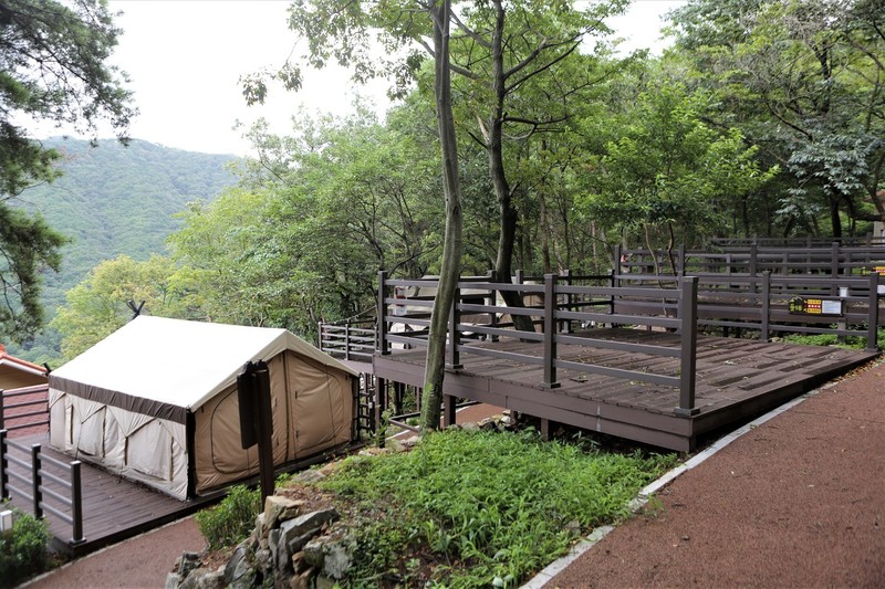 묵방리 장척힐링마을의 ‘신어산 자연숲 캠핑장’.