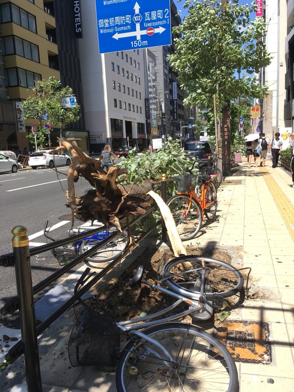 태풍 제비로 인해 오사카의 한 거리에서 나무가 뿌리째 뽑히고, 자전거가 쓰러져 있다.