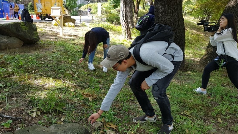 12일 오후 서울 서대문구 연세대학교 신촌캠퍼스에서 ‘연세 도토리 수호대’ 대원들이 떨어진 도토리를 줍고 있다.