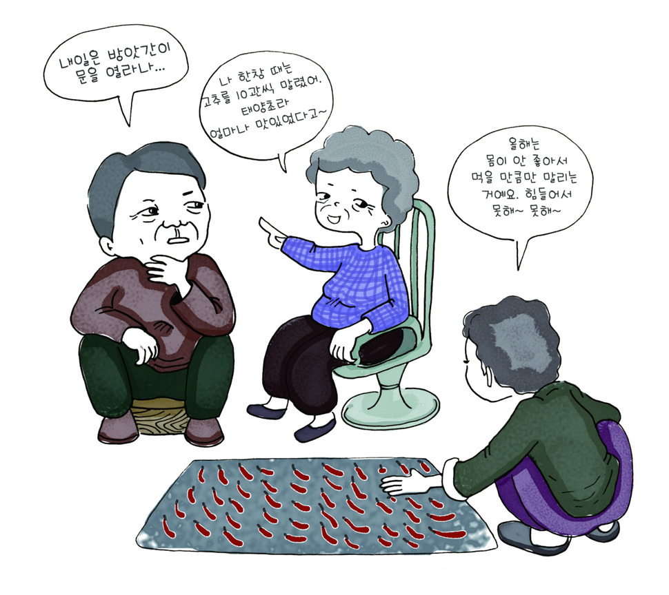 그림 도르리 오정희