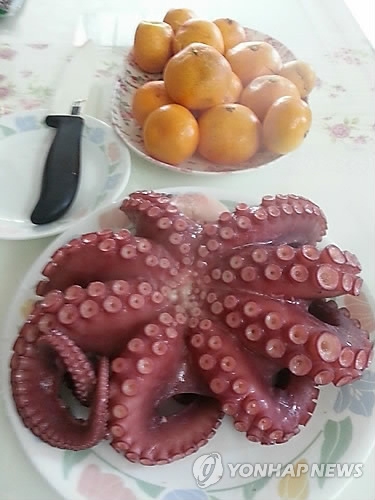 삶은 문어. 연합뉴스