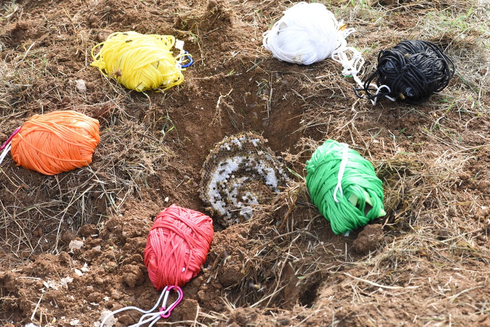 9월 국립공원관리공단은 땅벌의 공격 색상, 거리, 공격 부위 등을 확인하는 실험을 했다.