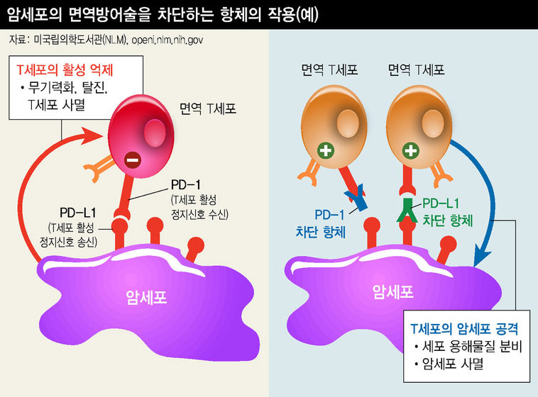 한겨레 자료그림