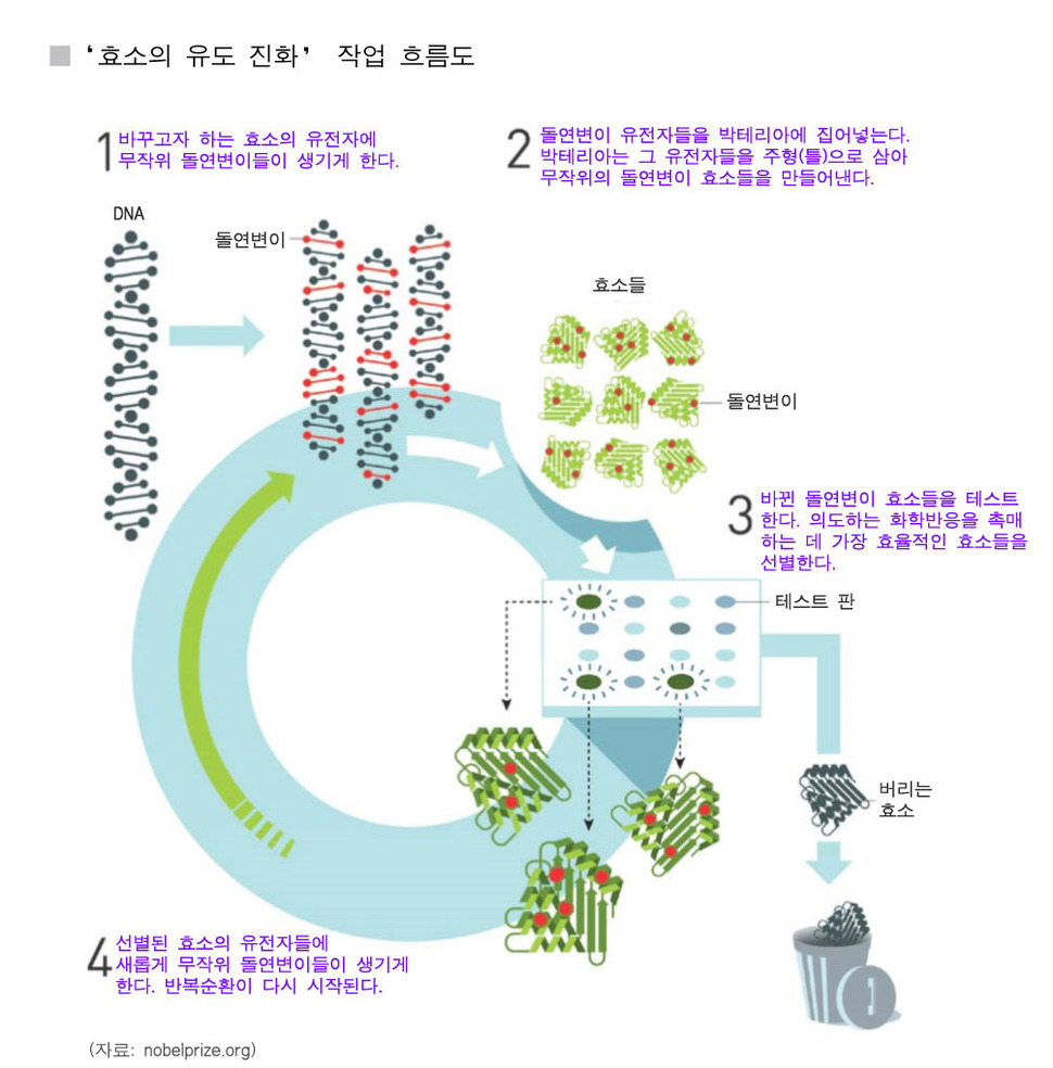 스웨덴 노벨위원회 제공