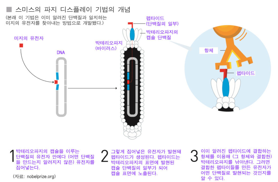 스웨덴 노벨위원회 제공