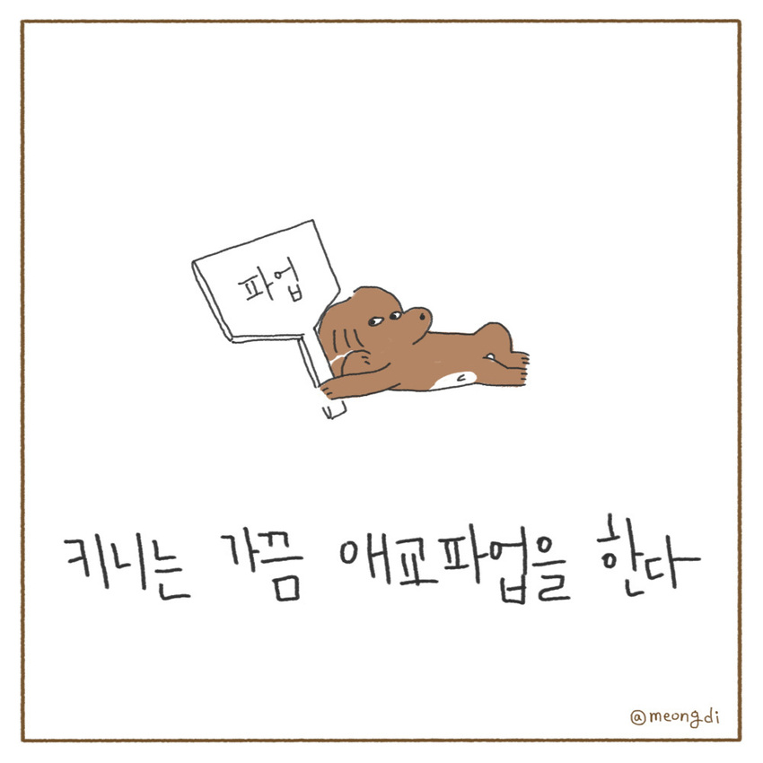 키니일기. 배은영 제공