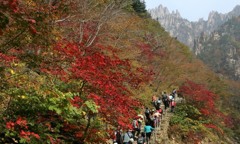 [한 장의 다큐] 열려라 금강산