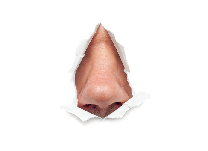 코. 게티이미지뱅크.