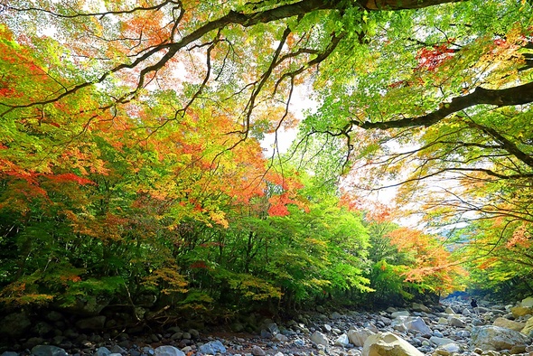 19일 제주 한라산 천아숲길 광령천 계곡의 단풍이 장관을 이루고 있다. 제주/연합뉴스