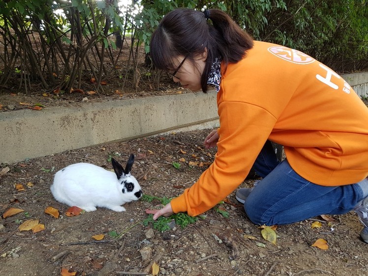 동물권단체 하이 조영수 공동대표가 18일 서초구 서초동 몽마르뜨공원에서 먹이로 토끼를 유인하고 있다. 빠르게 번식한 토끼의 개체 수 조절을 위해 중성화 수술을 하기로 했다.