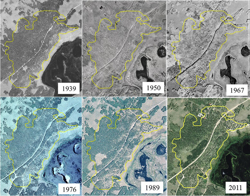 1939∼2011년 사이 판도 숲(노란 테두리)의 변화를 보여주는 항공사진. 애초 고속도로가 관통하지만 개발과 초식동물 때문에 숲에 빈터가 생기고 성겨지는 양상이 분명하다. 미국농무부 항공사진 현장사무소