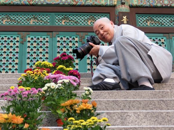 지난 15일 서울 마포구 석불사 경내에서 경륜 주지스님이 꽃을 찍고 있다.