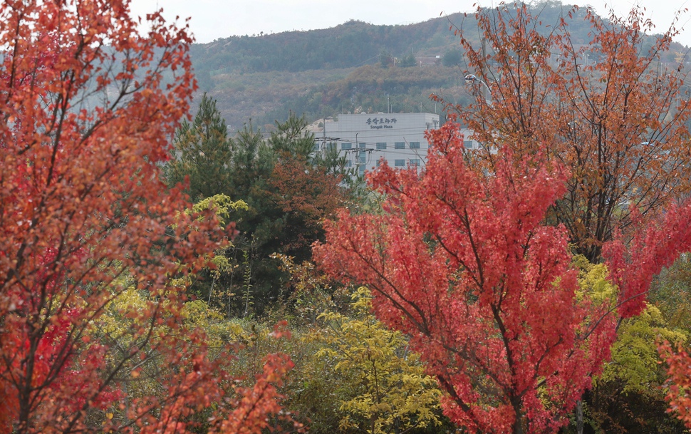 붉게 물든 단풍 너머 현대그룹의 마지막 대북사업 `송악프라자'가 보인다. 개성공단 북서쪽에 위치한 5층 건물인 송악프라자 1~2층에는 면세점과 식당 시설이 입주해있고 3~5층은 숙박시설로 쓰였으나 지난 2016년 10월 박근혜 정부의 개성공단 전면중단 방침에 따라 철수했다. 최근에는 남북연락사무소 개보수와 개성 만월대 유적 발굴을 위해 개성을 찾은 남쪽 인원들의 임시숙소로 활용되어 왔다. 개성/백소아 기자