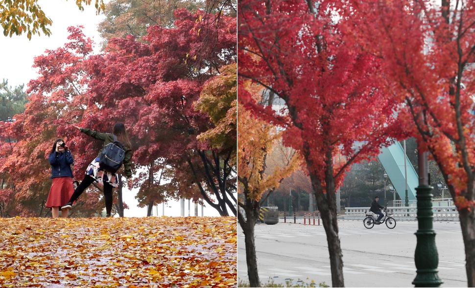 23일 서울 남산(왼쪽 사진)과 22일 개성공단을 단풍이 붉게 물들이고 있다. 박종식 백소아 기자 anaki@hani.co.kr
