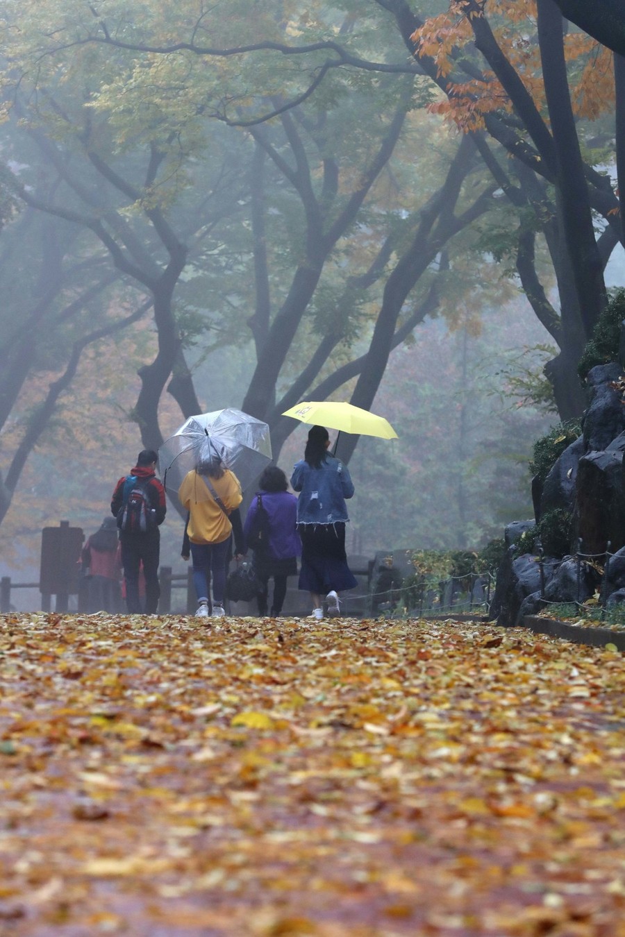 23일 우산을 쓴 채 서울 남산에서 단풍길을 걸어가는 사람들. 박종식 기자