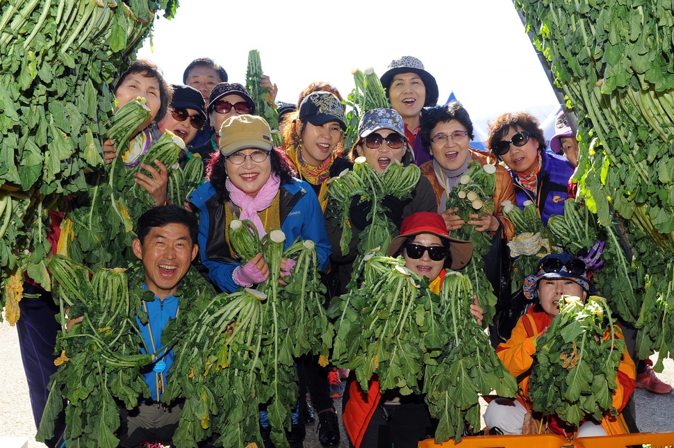 ‘2018디엠제트 펀치볼 시래기축제’가 27~28일 강원 양구 해안면 펀치볼 힐링하우스 광장에서 열린다. 사진은 펀치볼 시래기 현장체취 체험을 하는 관광객 모습. 양구군청 제공