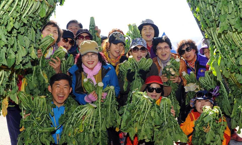 DMZ펀치볼 시래기축제 27일 개막