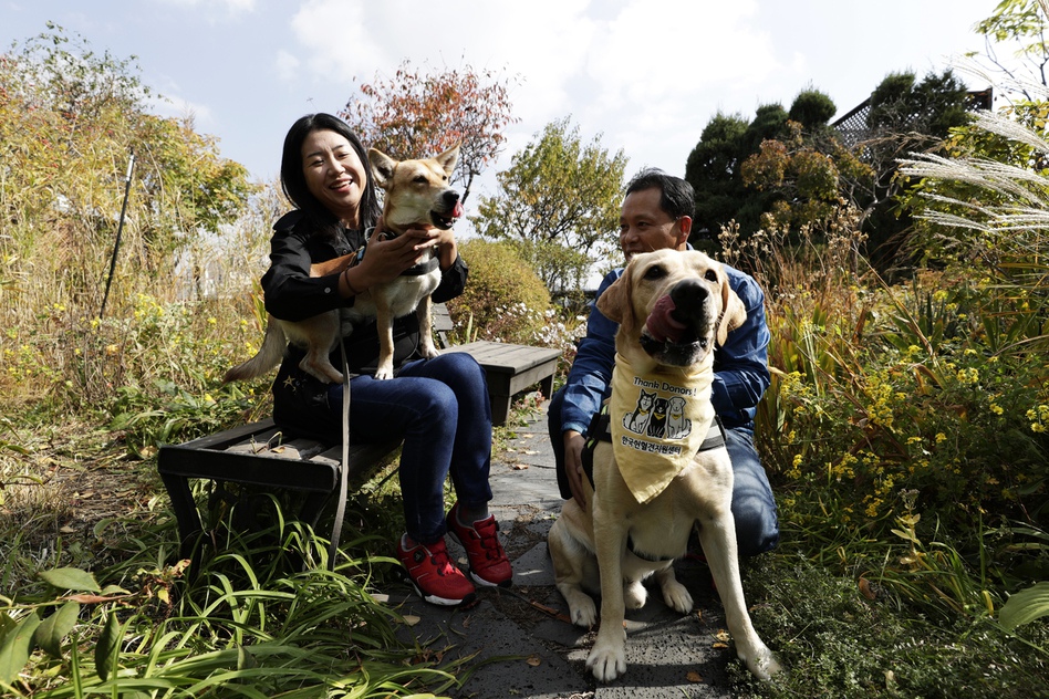 24일 오전 서울 마포구 공덕공 한겨레신문사 옥상에서 한국헌혈견협회 강부성 대표와 반려견 챨스, 남편 윤성희 씨와 헌혈견 로빈이 사진을 찍기 위해 포즈를 취하고 있다. 찰스는 몸이 작아 헌혈을 할 수 없다. 김명진 기자 littleprince@hani.co.kr