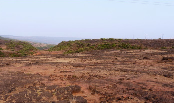 A contrast zone where the Sogotto wind turbines are not entered. Maria Taeker and her collaborators (2018) provided "The Ecology of Nature and its Evolution".