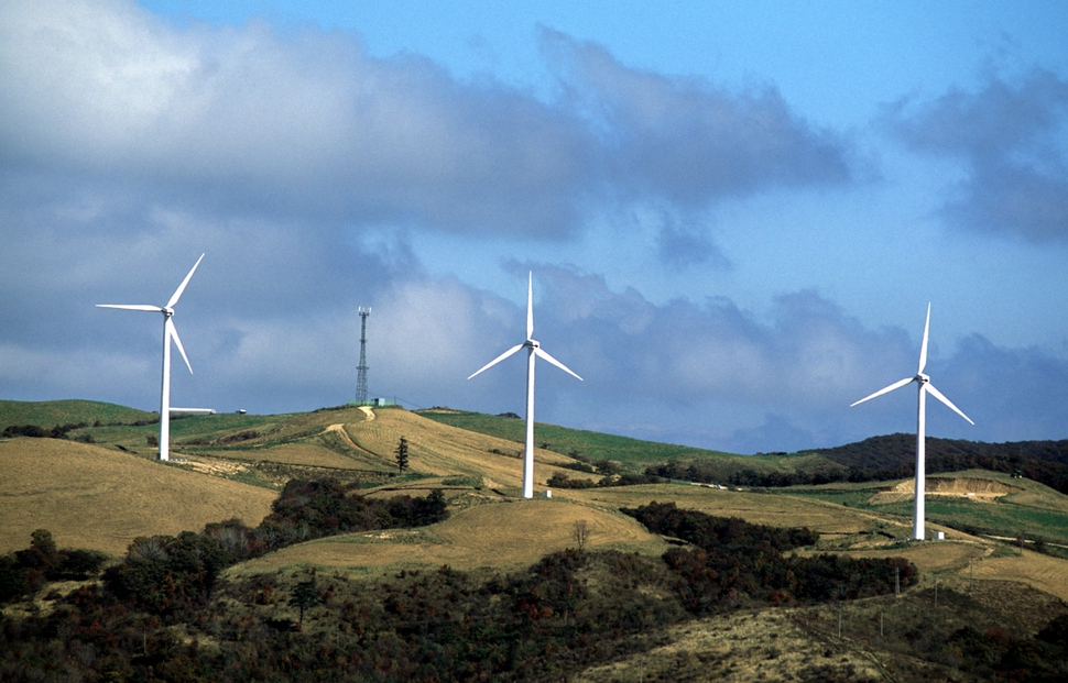 Land-based wind farms have been found to have a much larger and more complex impact on the ecosystem than simply dealing with birds or bats. United Nations News
