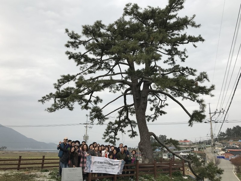 전남대 인문학연구원 주최로 열린 ‘인문 테마 여행’에 참여한 시민 30여명이 11일 오후 전남 완도군 신지도를 찾아 원교 이광사가 심었다는 `원교목' 앞에서 기념 촬영을 하고 있다. 시민자유대학 제공