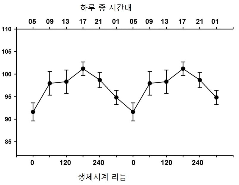 휴식중 하루 시간대별 칼로리 소비량의 변화.