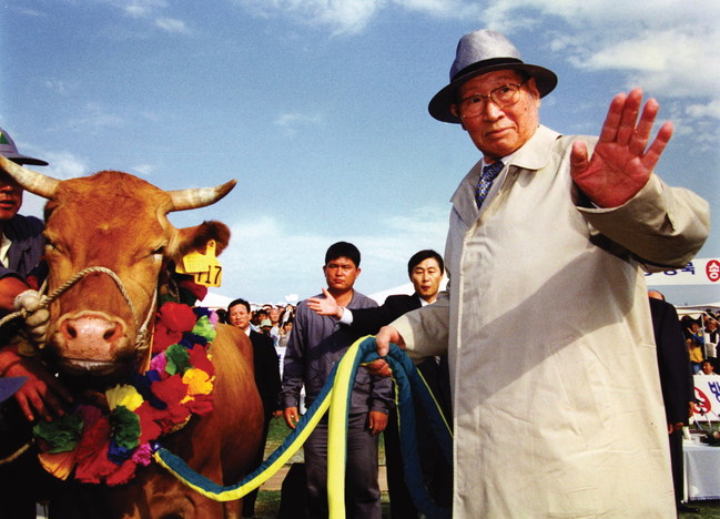 1998년 6월16일 1차 소 떼 방북 당시 정주영 명예회장 모습. 이때로부터 넉 달 뒤 정 명예회장과 김정일 당시 국방위원장의 1차 면담에서 ‘금강산 관광 사업에 관한 합의서 및 부속합의서’가 체결됐으며, 한 달 뒤인 11월에 관광객 830명 등 총 1400여명을 태운 현대금강호의 동해항을 처음 출항하며 금강산 관광이 시작됐다.  현대그룹 제공
