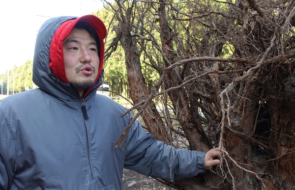성상식 작가가 지난 19일 제주 비자림로에서 잘린 삼나무를 위한 위로의 의미를 담은 ‘근음’ 설치 퍼포먼스에 대해 설명하고 있다. 허호준 기자
