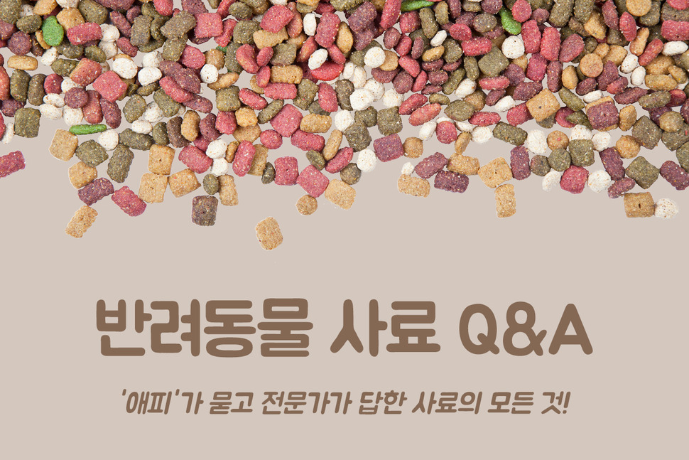 [카드뉴스] 반려동물 사료 Q&A