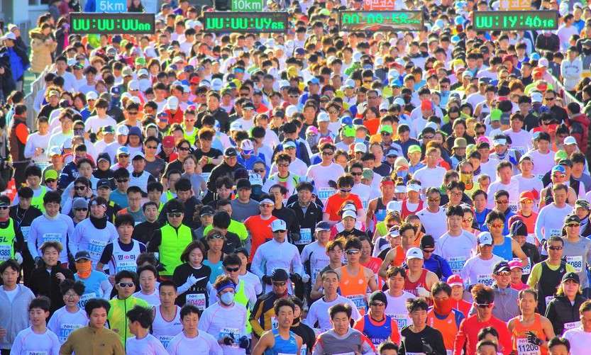 창원시, 평양국제마라톤대회 선수단 보낸다