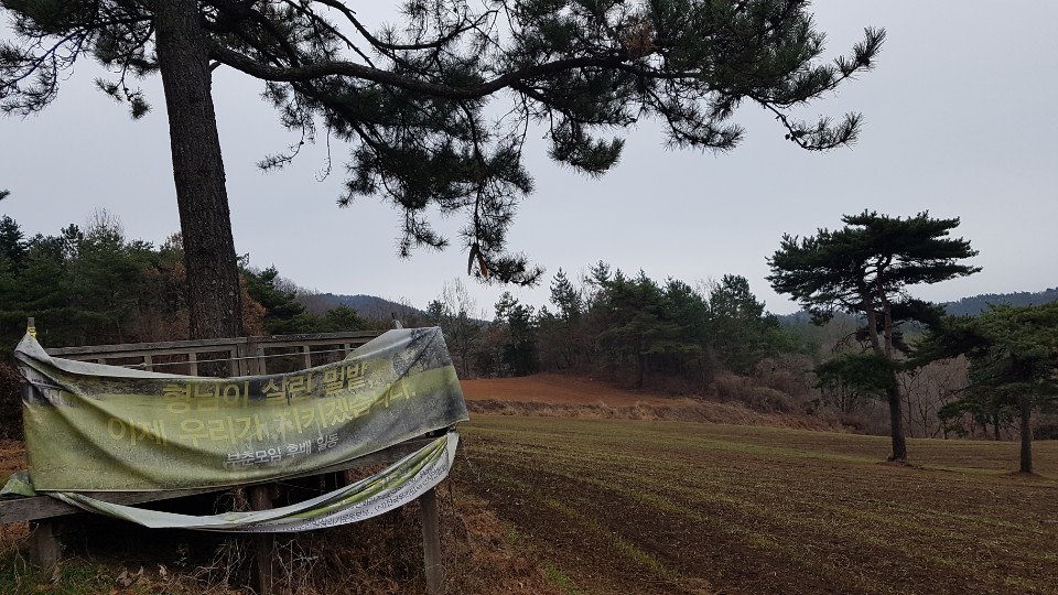 전남 보성군 웅치면 유산리 부춘마을 고 백남기 농민의 밀밭  우리밀살리기운동본부 제공