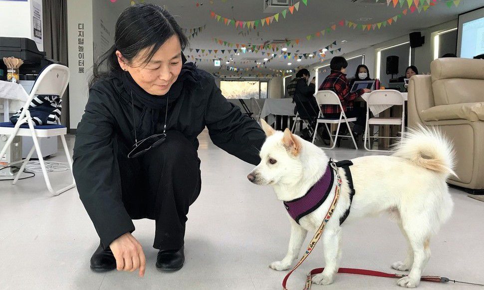 혁신견 ‘혁구’는 오늘도 출근 도장을 찍습니다