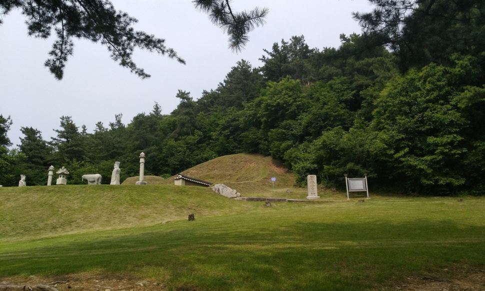 흥선대원군 후손, 대원군 묘역 등 13만㎡ 경기도에 기증