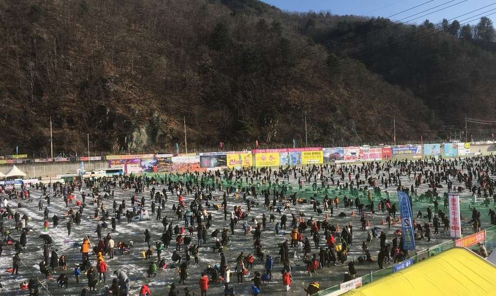 ‘흥행 대박’ 산천어 축제? “동물에게는 죽음의 카니발”