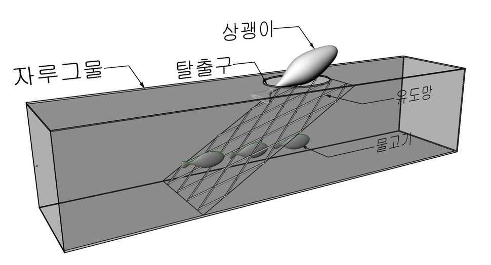 상괭이 그물 탈출장치 원리. 국립수산과학원 제공