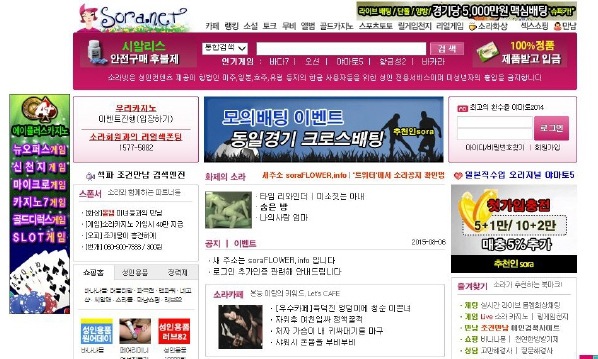‘제2의 소라넷’ 활개…관련 링크·단속정보 공유사이트도 등장
